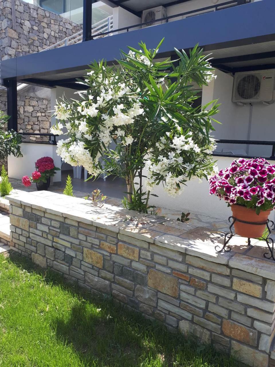 Apartments And Villas Janev Dojran Luaran gambar
