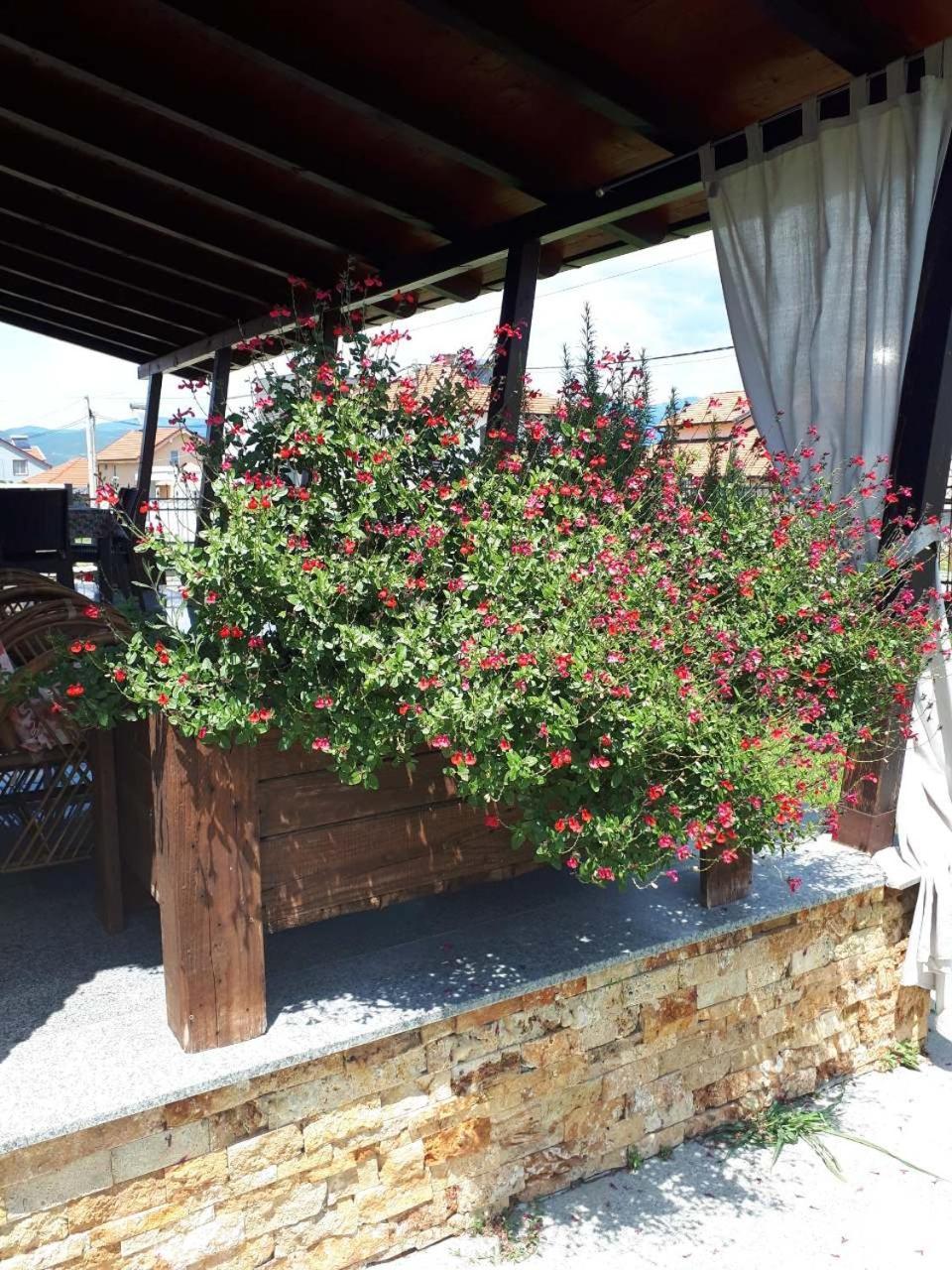 Apartments And Villas Janev Dojran Luaran gambar